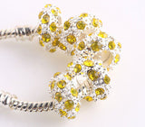 Chunky Tibetan Murano Charm Beads